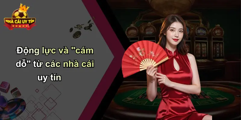 Động lực và "cám dỗ" từ các nhà cái uy tín