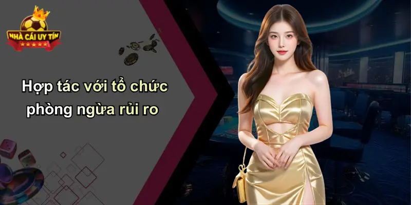 Hợp tác với tổ chức phòng ngừa rủi ro