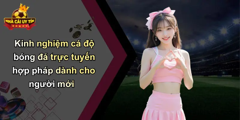 Kinh nghiệm cá độ bóng đá trực tuyến hợp pháp dành cho người mới