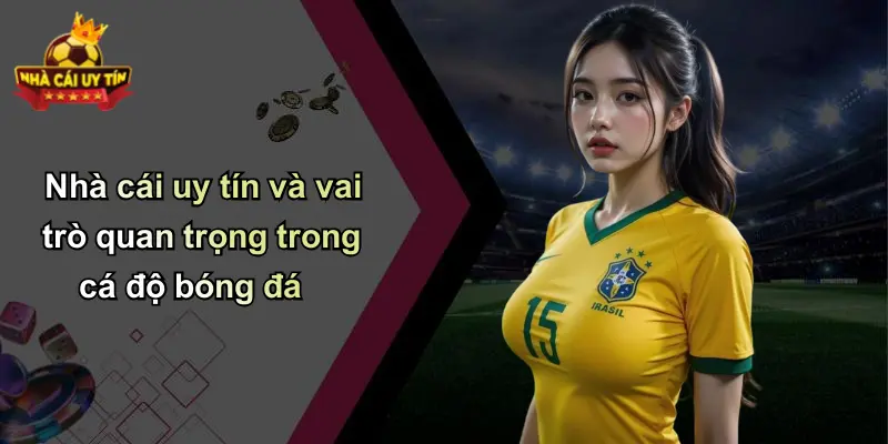 Nhà cái uy tín và vai trò quan trọng trong cá độ bóng đá