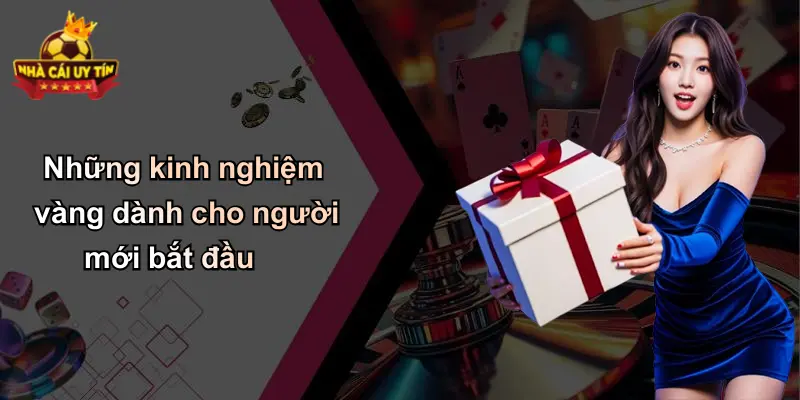Những kinh nghiệm vàng dành cho người mới bắt đầu