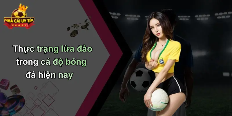 Thực trạng lừa đảo trong cá độ bóng đá hiện nay