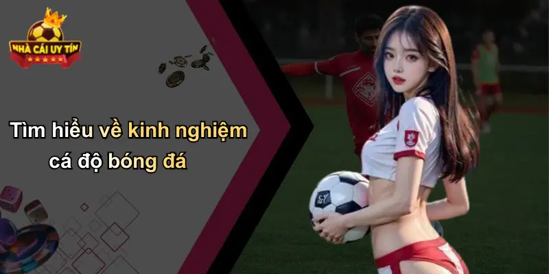 Tìm hiểu về kinh nghiệm cá độ bóng đá