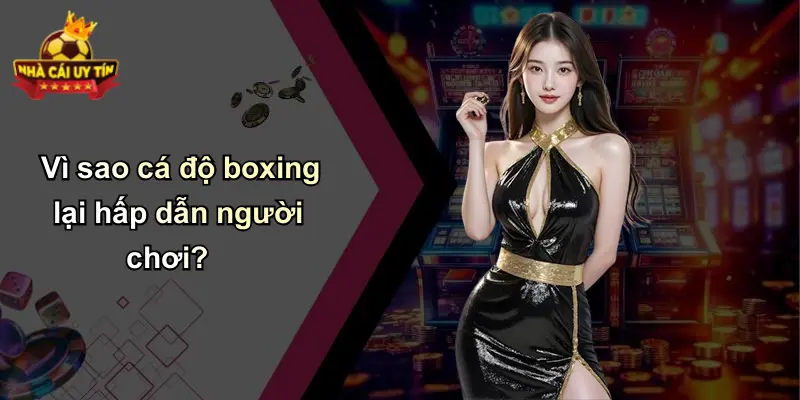 Vì sao cá độ boxing lại hấp dẫn người chơi?