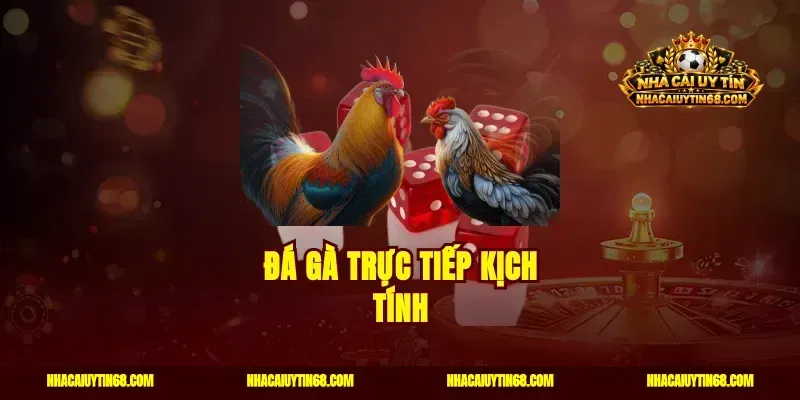 Đá gà trực tiếp kịch tính