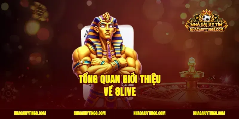 Tổng quan giới thiệu về 8live