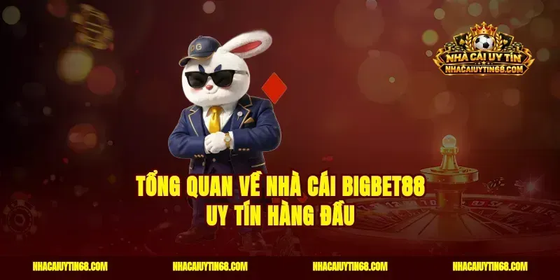 Tổng quan về nhà cái Bigbet88 uy tín hàng đầu