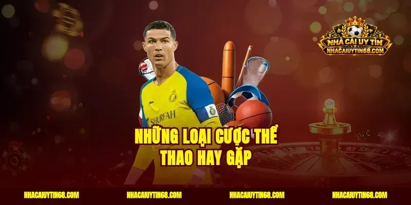 Những loại cược thể thao hay gặp