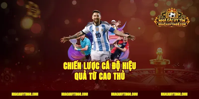 Chiến lược cá độ hiệu quả từ cao thủ