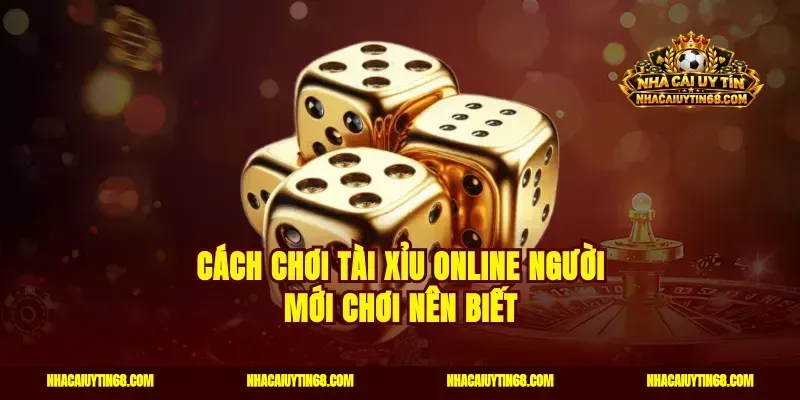 Cách chơi tài xỉu online người mới chơi nên biết