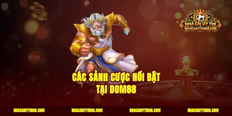 Các sảnh cược nổi bật tại Dom88