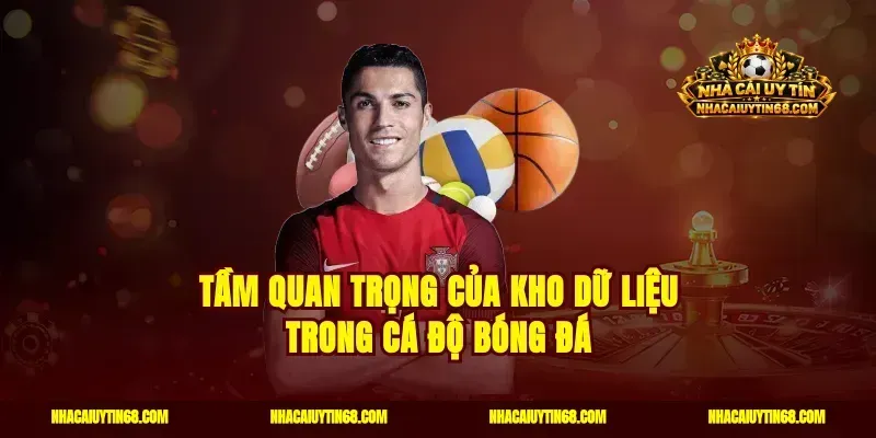 Tầm quan trọng của kho dữ liệu trong cá độ bóng đá