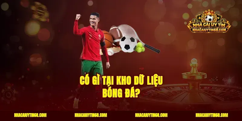 Có gì tại kho dữ liệu bóng đá?