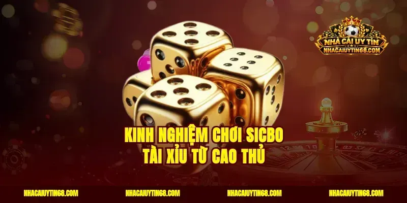 Kinh nghiệm chơi sicbo tài xỉu từ cao thủ
