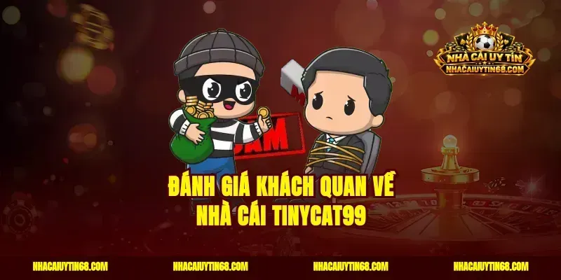 Đánh giá khách quan về nhà cái Tinycat99