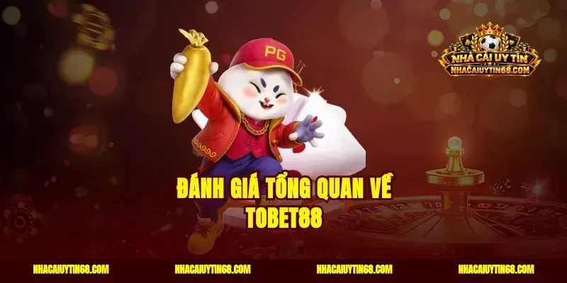 Đánh giá tổng quan về Tobet88