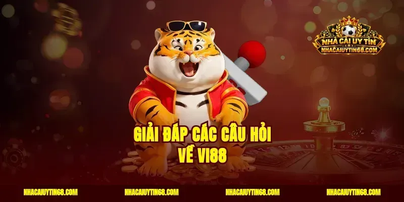 Giải đáp các câu hỏi về Vi88